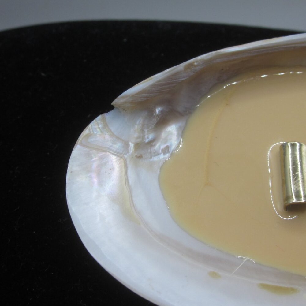 Vintage Shell Belt Clip Buckle Oval - Picture 4 of 5